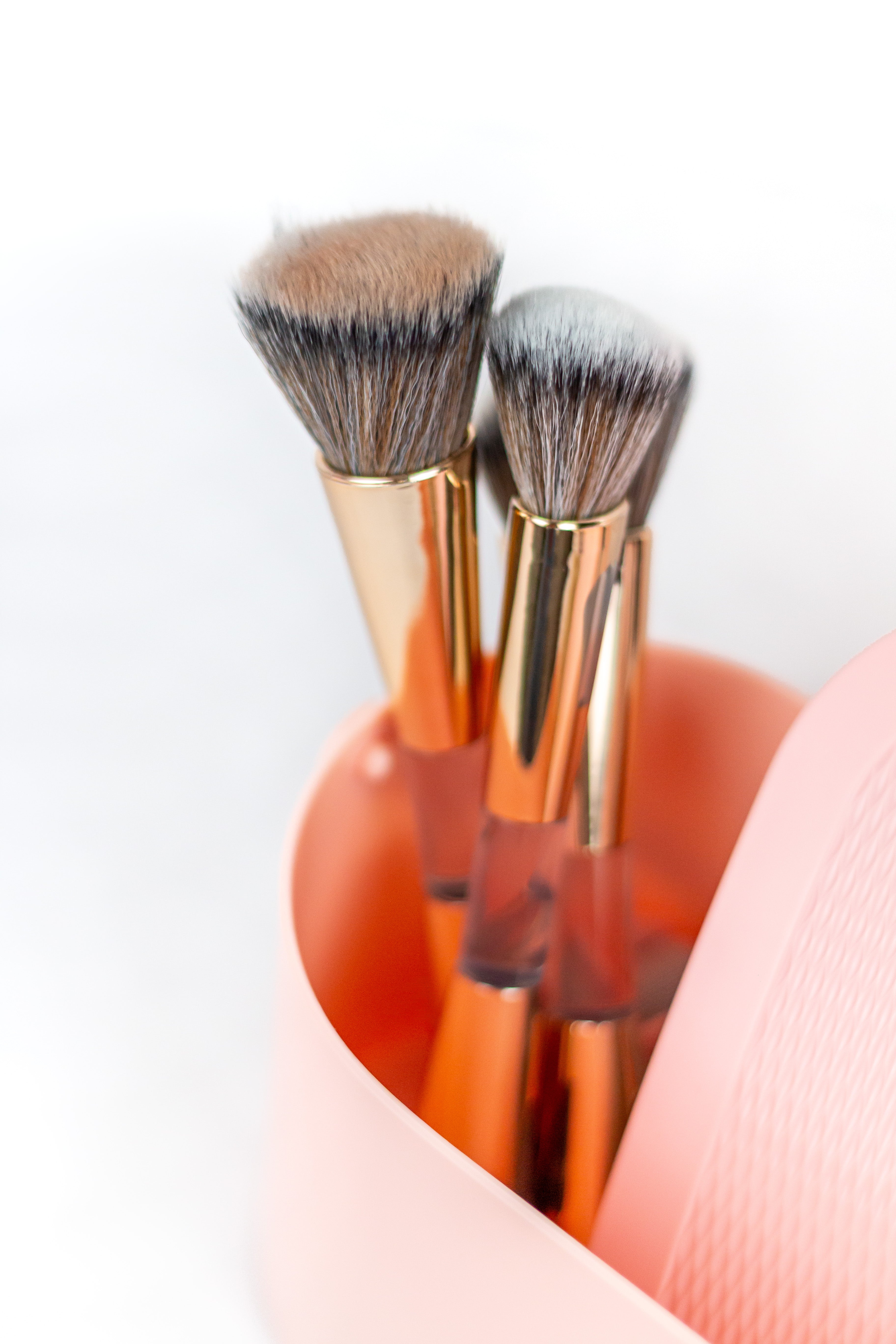 L'univers de Madame Alexia