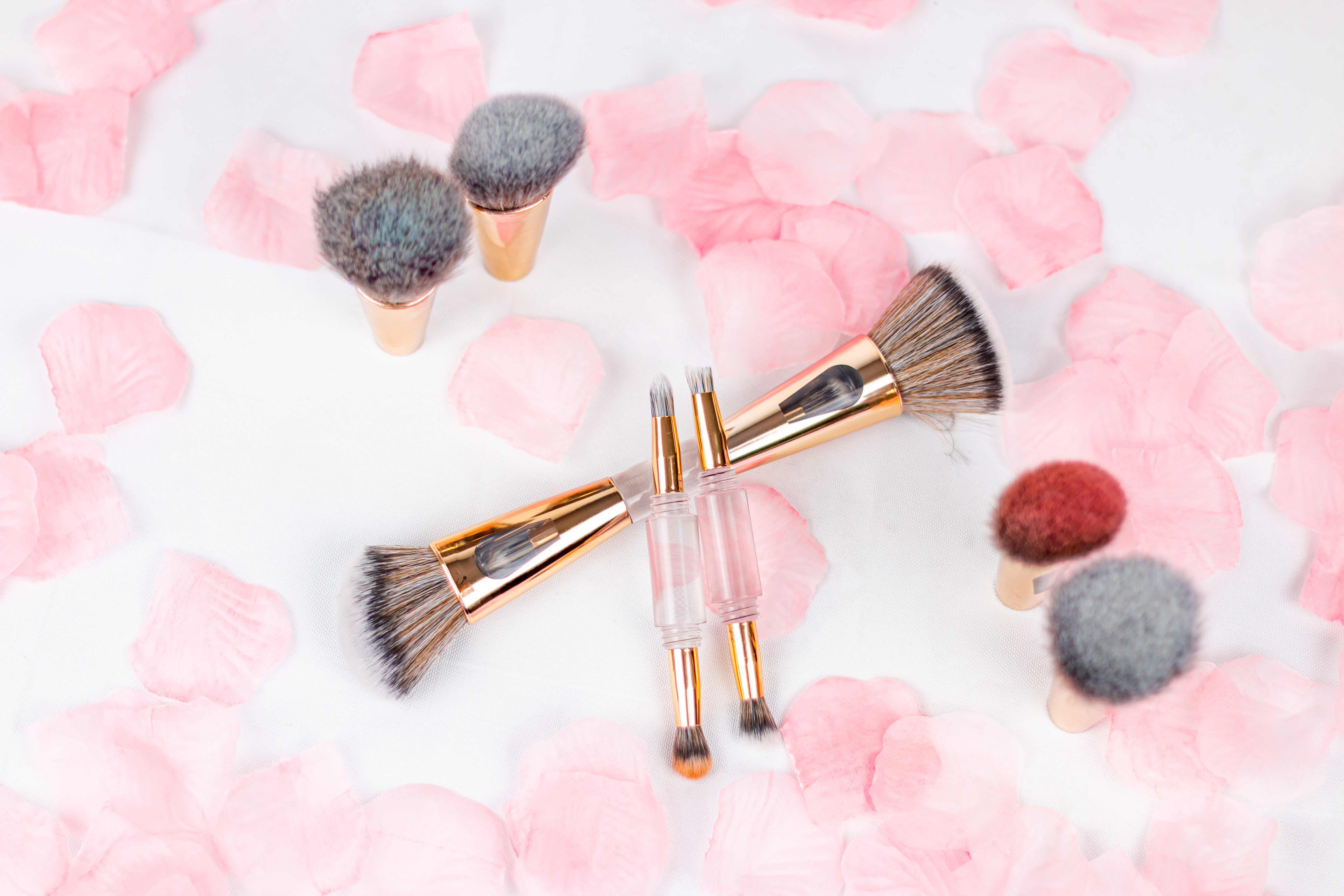 L'univers de Madame Alexia