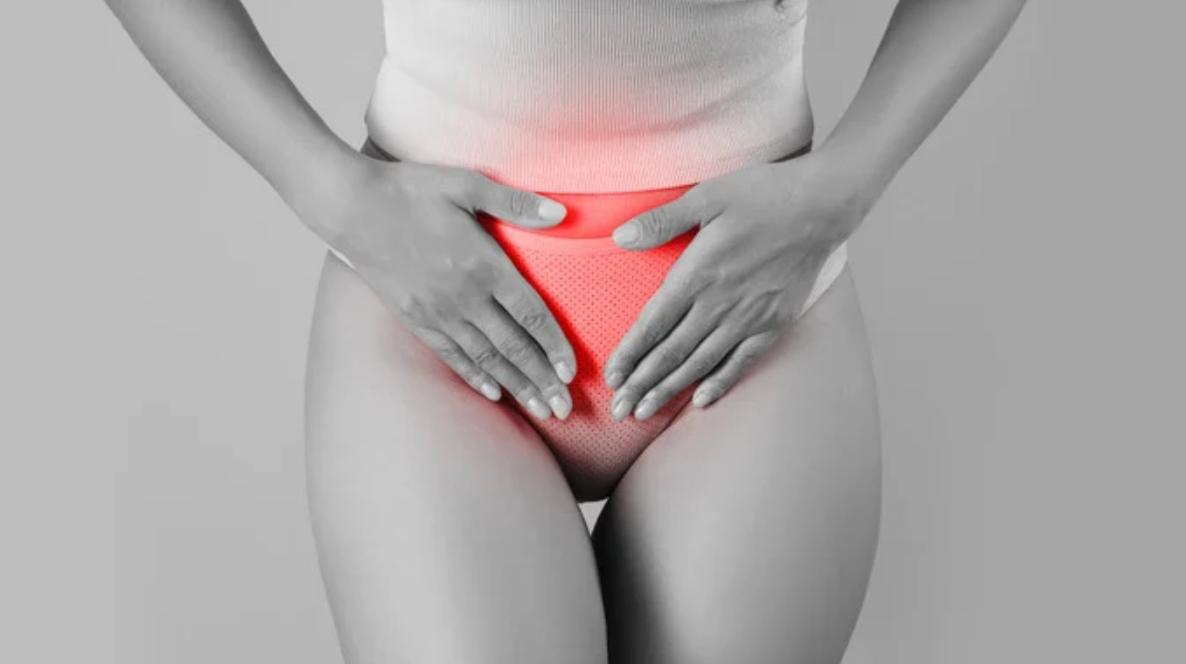 L'univers de Madame Alexia